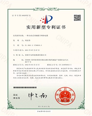 一種自承式同軸數(shù)字網(wǎng)絡(luò)電纜 