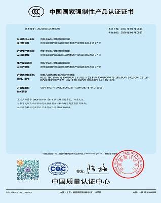 中國(guó)國(guó)家強(qiáng)制性產(chǎn)品認(rèn)證證書2 