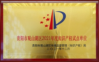 貴陽(yáng)市觀山湖區(qū)2021年度知識(shí)產(chǎn)權(quán)試點(diǎn)單位 