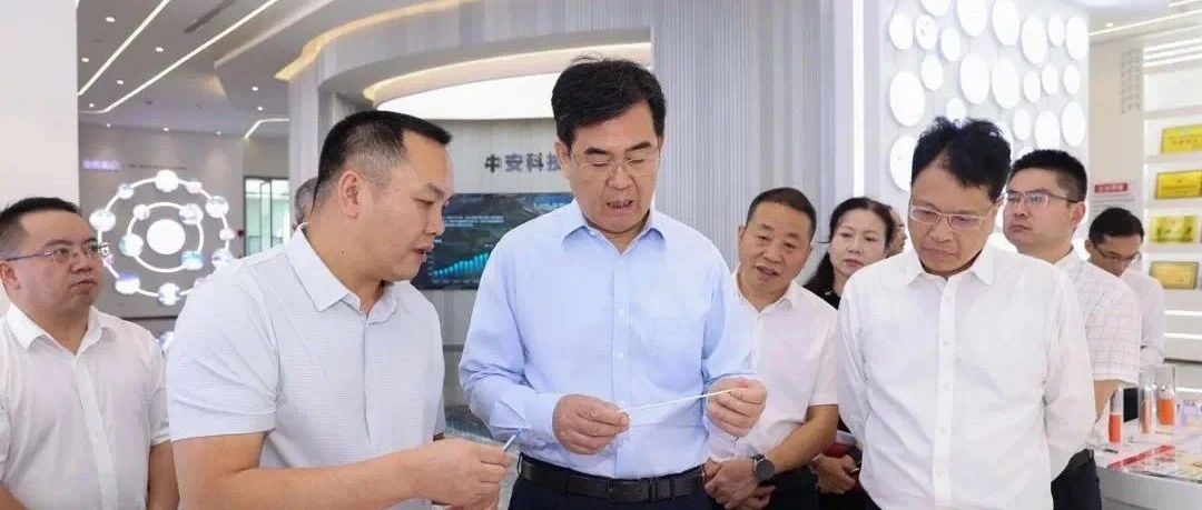 貴州省委副書記、省長李炳軍一行蒞臨中安科技集團考察調(diào)研 
