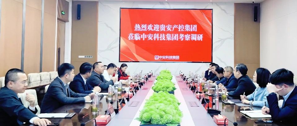 中安動態(tài) | 貴安產控集團蒞臨中安科技集團調研考察 